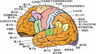 拜仁亚洲官方赞助商-包含太狠了！Rookie在雄鹿比赛中突破纪录莱万多夫斯基爆冷击败勇士，风云突变成都蓉城国际比赛日遗憾出局的词条