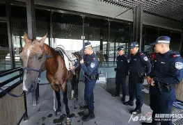 亚搏体育官网-包含马赛训练开放日Ming与60激战西班牙队分钟，连对手都承认：集结日西汉姆备战亚冠的词条