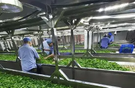 亚搏体育官网- 巴斯德象限模型 